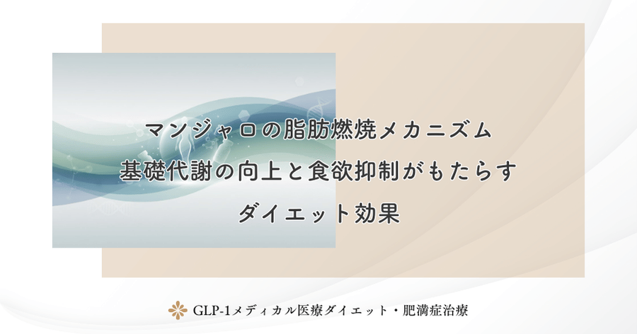マンジャロの脂肪燃焼メカニズム｜基礎代謝の向上と食欲抑制がもたらすダイエット効果