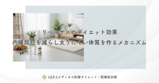 リベルサスのダイエット効果｜内臓脂肪を減らし太りにくい体質を作るメカニズム