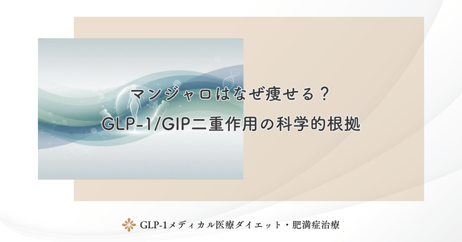 マンジャロはなぜ痩せる？GLP-1/GIP二重作用の科学的根拠