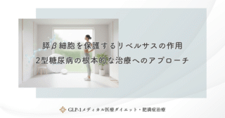 膵β細胞を保護するリベルサスの作用｜2型糖尿病の根本的な治療へのアプローチ