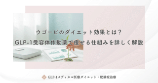 メディカルダイエットとリベルサス本来の目的｜医師が語る適正な薬物治療の意義