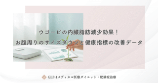ウゴービの内臓脂肪減少効果！お腹周りのサイズダウンと健康指標の改善データ