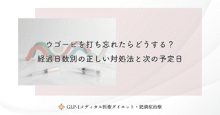 ウゴービのペン操作マニュアル!空打ちのやり方とカチッと鳴らない時の対処法