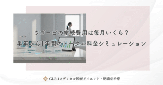 ウゴービの継続費用は毎月いくら？半年から1年間のトータル料金シミュレーション