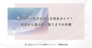 ウゴービ処方の流れを完全ガイド！初診から薬の受け取りまでの手順