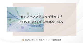 ゼップバウンドはなぜ痩せる？GLP-1/GIPダブル作用の仕組み