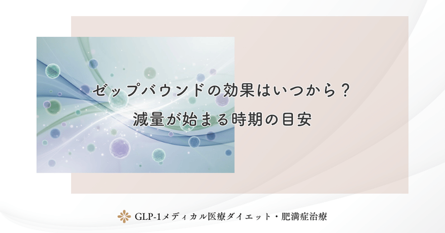 ゼップバウンドの効果はいつから?減量が始まる時期の目安