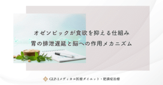 オゼンピックが食欲を抑える仕組み｜胃の排泄遅延と脳への作用メカニズム