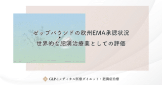 ゼップバウンドの欧州EMA承認状況｜世界的な肥満治療薬としての評価
