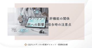 ゼップバウンドと肝機能の関係｜脂肪肝への影響と投与時の注意点