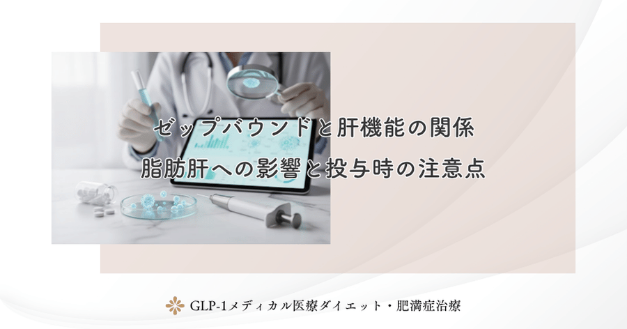 ゼップバウンドと肝機能の関係｜脂肪肝への影響と投与時の注意点