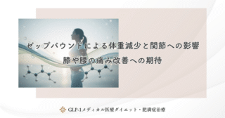 ゼップバウンドによる体重減少と関節への影響｜膝や腰の痛み改善への期待