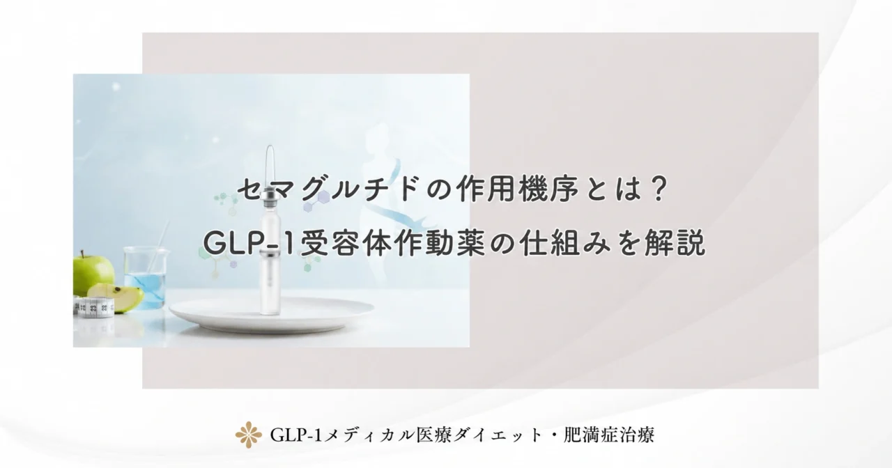 セマグルチドの作用機序とは？GLP-1受容体作動薬の仕組みを解説