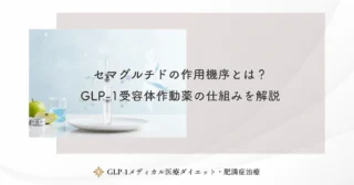 セマグルチドの作用機序とは？GLP-1受容体作動薬の仕組みを解説