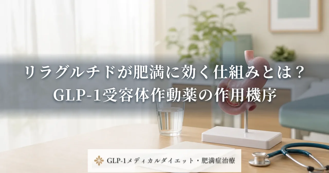 リラグルチドが肥満に効く仕組みとは?GLP-1受容体作動薬の作用機序