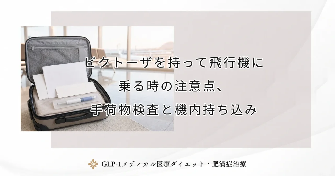 ビクトーザを持って飛行機に乗る時の注意点、手荷物検査と機内持ち込み