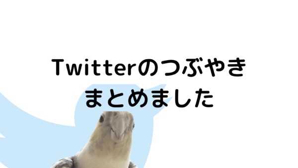 ツイッターの有益情報（？）まとめ～皮膚以外編～