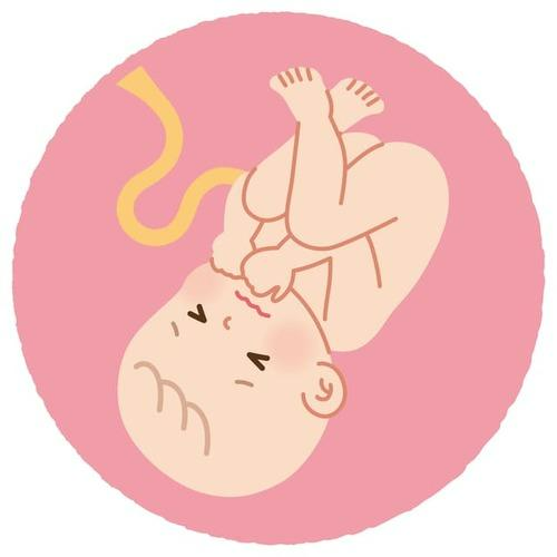 TORCH TORCH症候群　先天性　胎児　お腹の赤ちゃん　生まれる前