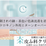 虫刺されの跡・茶色い色素沈着を消す｜ハイドロキノン外用とターンオーバー促進
