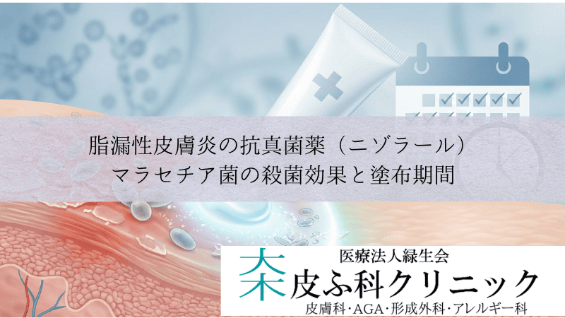 脂漏性皮膚炎の抗真菌薬（ニゾラール）｜マラセチア菌の殺菌効果と塗布期間
