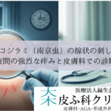 トコジラミ（南京虫）の線状の刺し跡｜夜間の強烈な痒みと皮膚科での診断