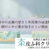 背中の皮膚の厚さと外用薬の浸透性｜顔のニキビ薬が効きにくい理由