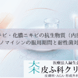 赤ニキビ・化膿ニキビの抗生物質（内服薬）｜ミノマイシンの服用期間と耐性菌対策