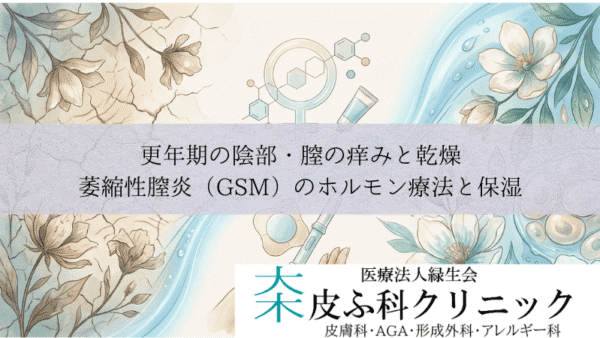 更年期の陰部・膣の痒みと乾燥｜萎縮性膣炎（GSM）のホルモン療法と保湿