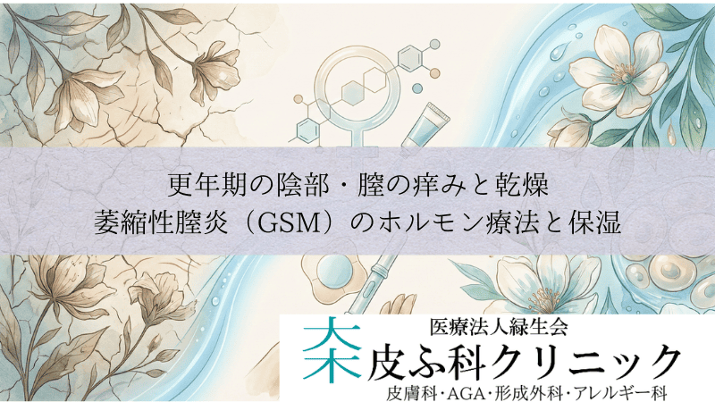 更年期の陰部・膣の痒みと乾燥｜萎縮性膣炎（GSM）のホルモン療法と保湿