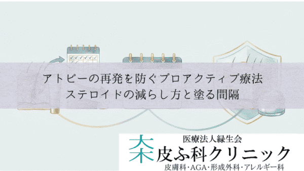 アトピーの再発を防ぐプロアクティブ療法｜ステロイドの減らし方と塗る間隔