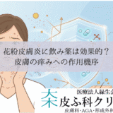花粉皮膚炎に飲み薬（抗アレルギー薬）は効果的？｜皮膚の痒みへの作用機序