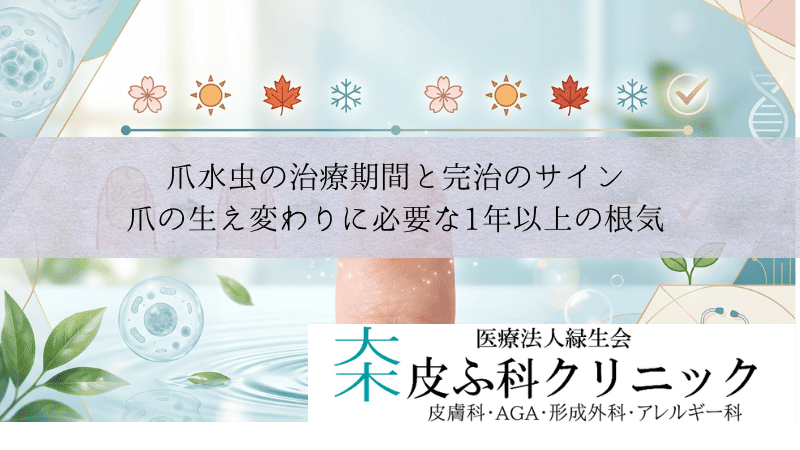 爪水虫の治療期間と完治のサイン｜爪の生え変わりに必要な1年以上の根気