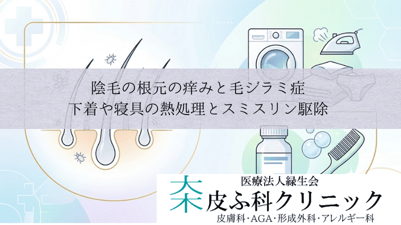 陰毛の根元の痒みと毛ジラミ症｜下着や寝具の熱処理とスミスリン駆除
