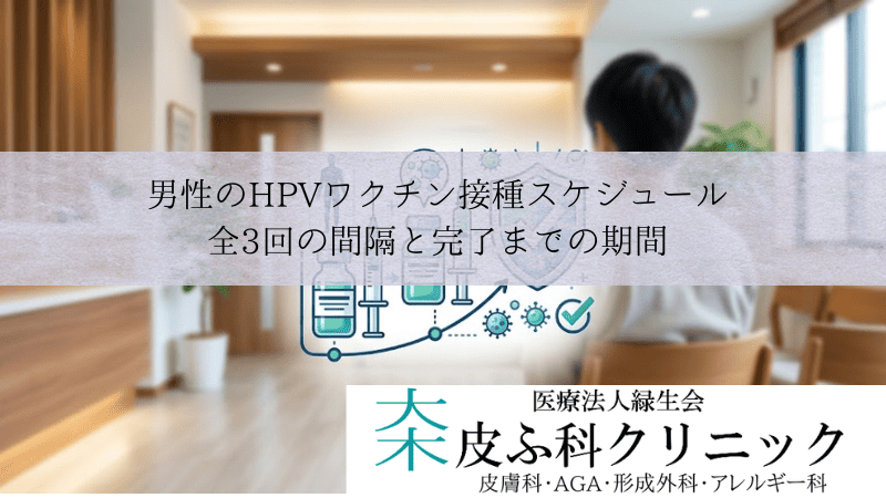 男性のHPVワクチン接種スケジュール|全3回の間隔と完了までの期間