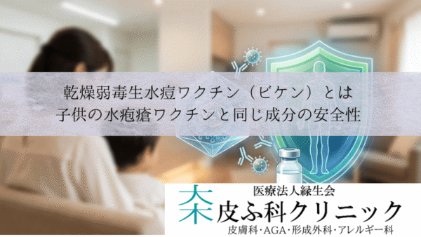乾燥弱毒生水痘ワクチン（ビケン）とは｜子供の水疱瘡ワクチンと同じ成分の安全性