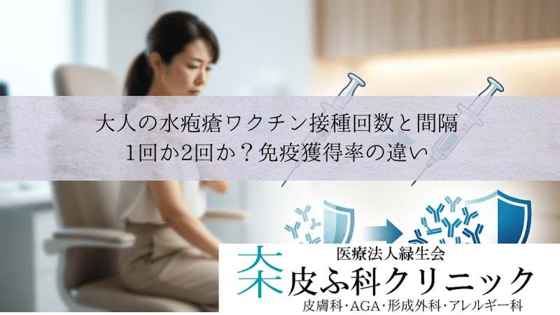 大人の水疱瘡ワクチン接種回数と間隔|1回か2回か?免疫獲得率の違い