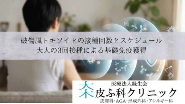 破傷風トキソイドの接種回数とスケジュール｜大人の3回接種による基礎免疫獲得