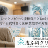 アレックスビーの接種費用と助成金｜高い自費料金と医療費控除の対象