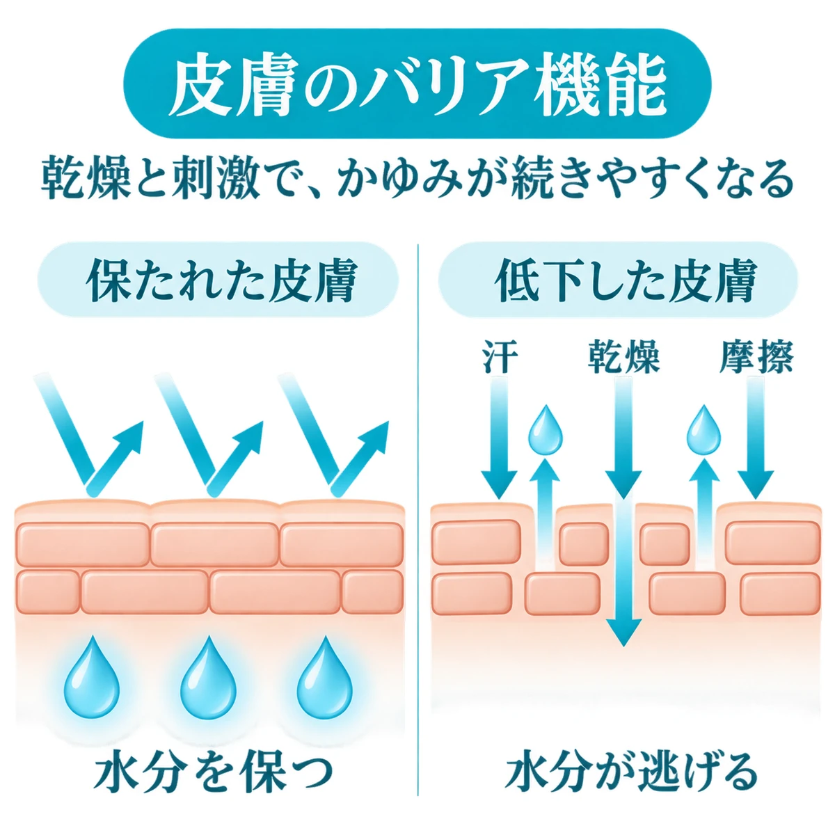 水分を保つ皮膚と、水分が逃げて汗・乾燥・摩擦の刺激が入り込む皮膚の比較図