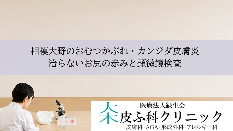 相模大野のおむつかぶれ・カンジダ皮膚炎｜治らないお尻の赤みと顕微鏡検査