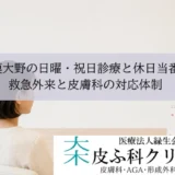 相模大野の日曜・祝日診療と休日当番医｜救急外来と皮膚科の対応体制