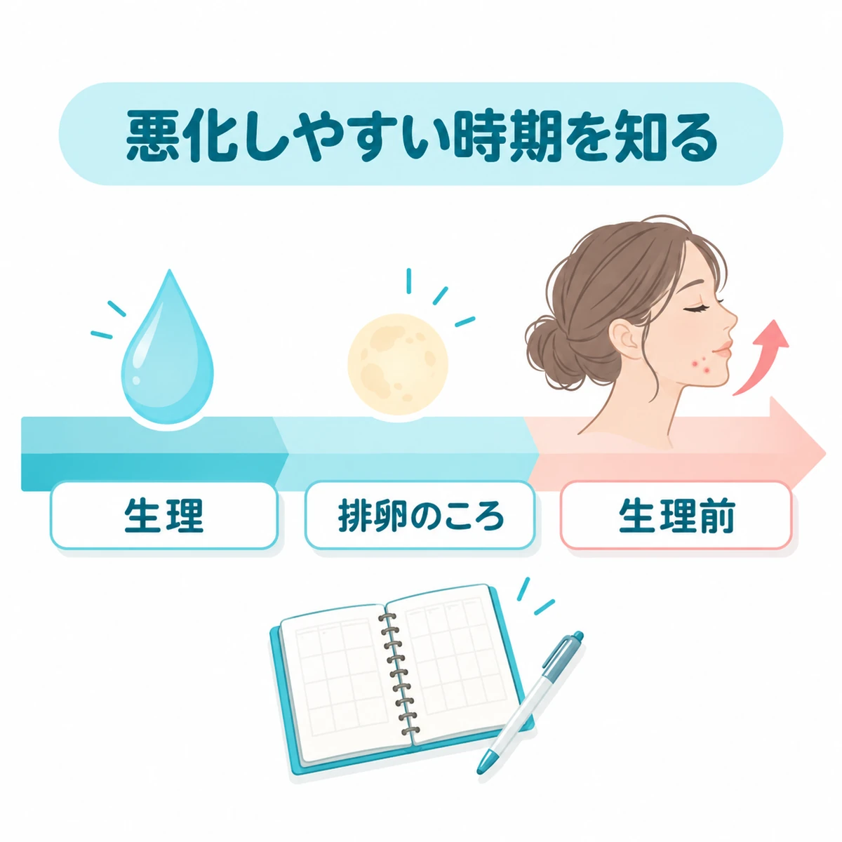 生理から排卵、生理前へ進む時期とニキビの変化、記録用の手帳を描いた図
