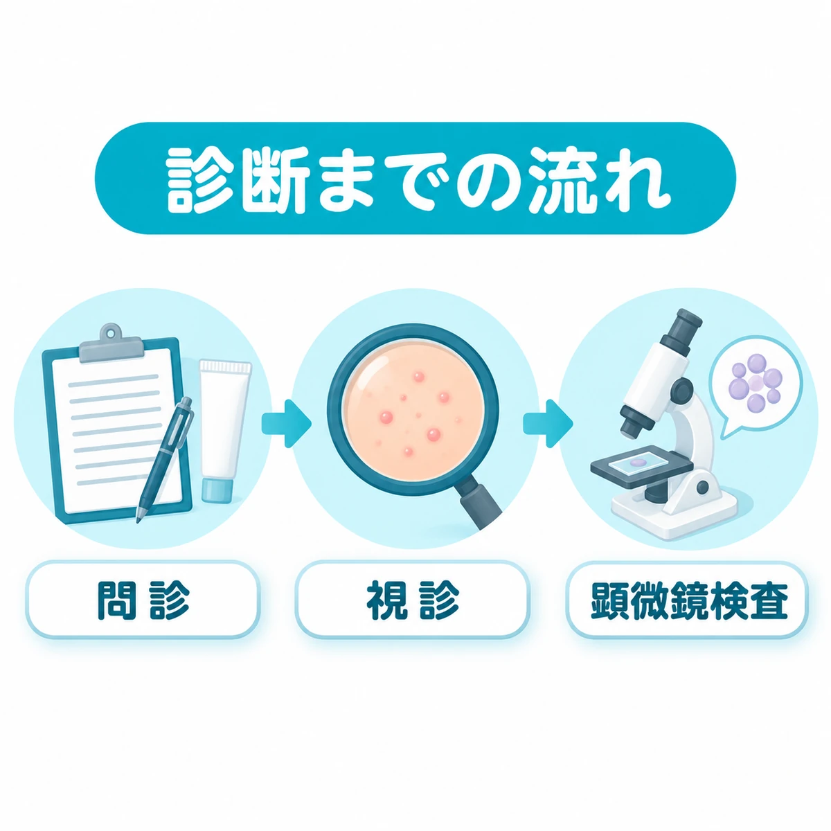 問診、視診、顕微鏡検査によって背中の発疹を見分ける診断の流れ