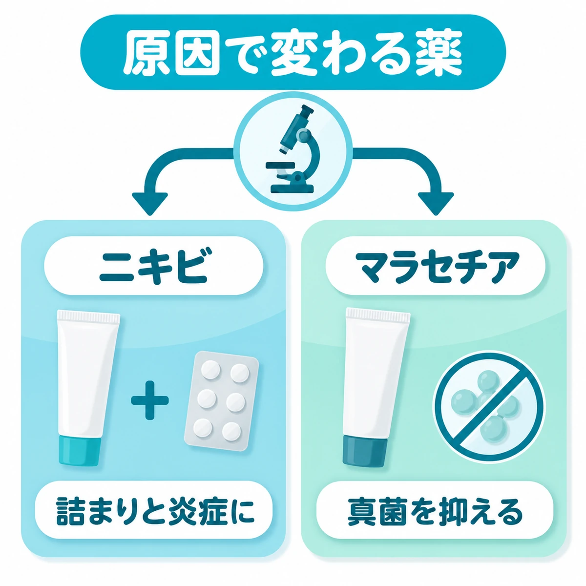 ニキビには詰まりと炎症への薬、マラセチア毛包炎には抗真菌薬を選ぶ治療の分岐図
