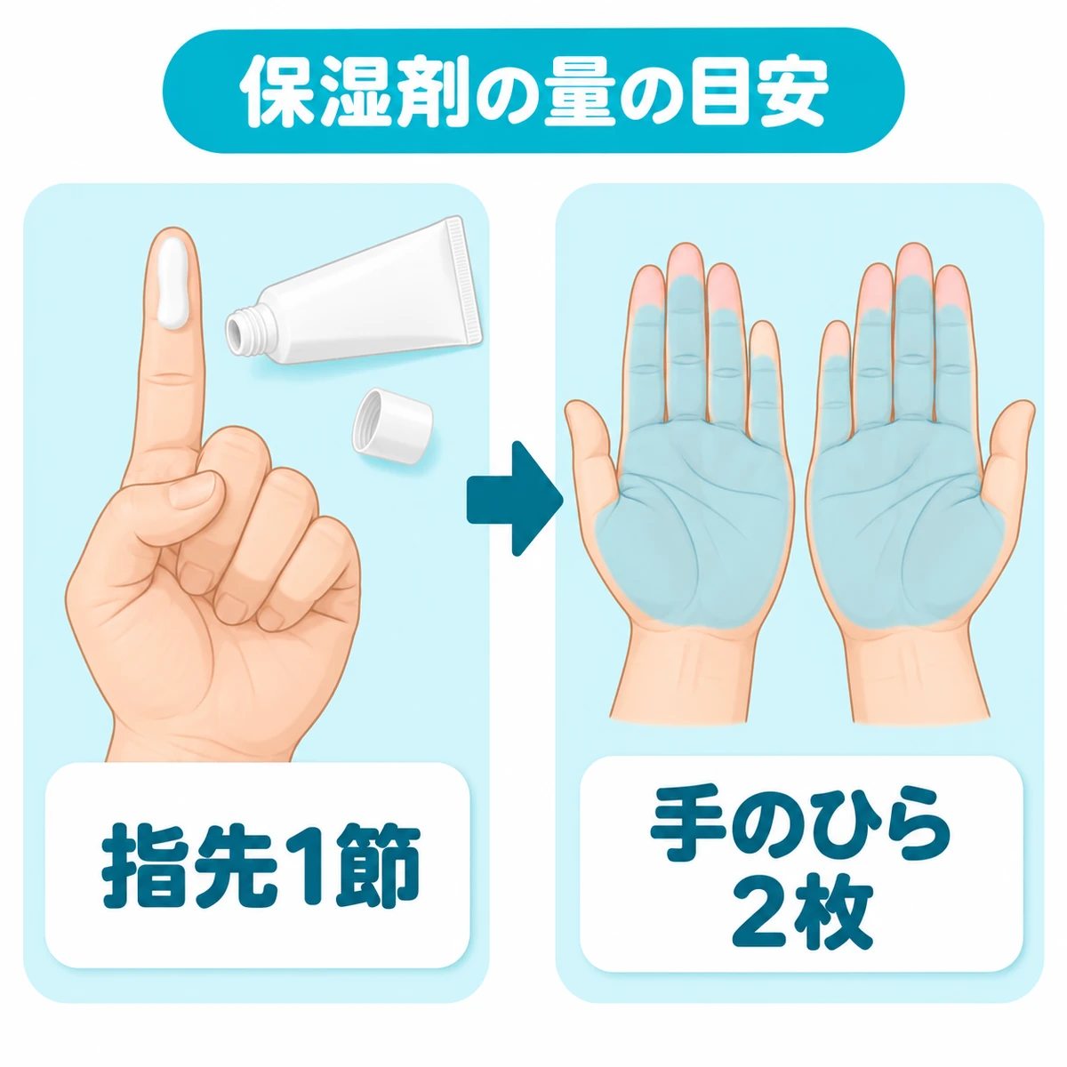 人差し指の先から第一関節までの保湿剤1FTUが、手のひら2枚分に相当する目安の図